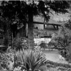 Hirschen Garten , 27.06.1935.jpg